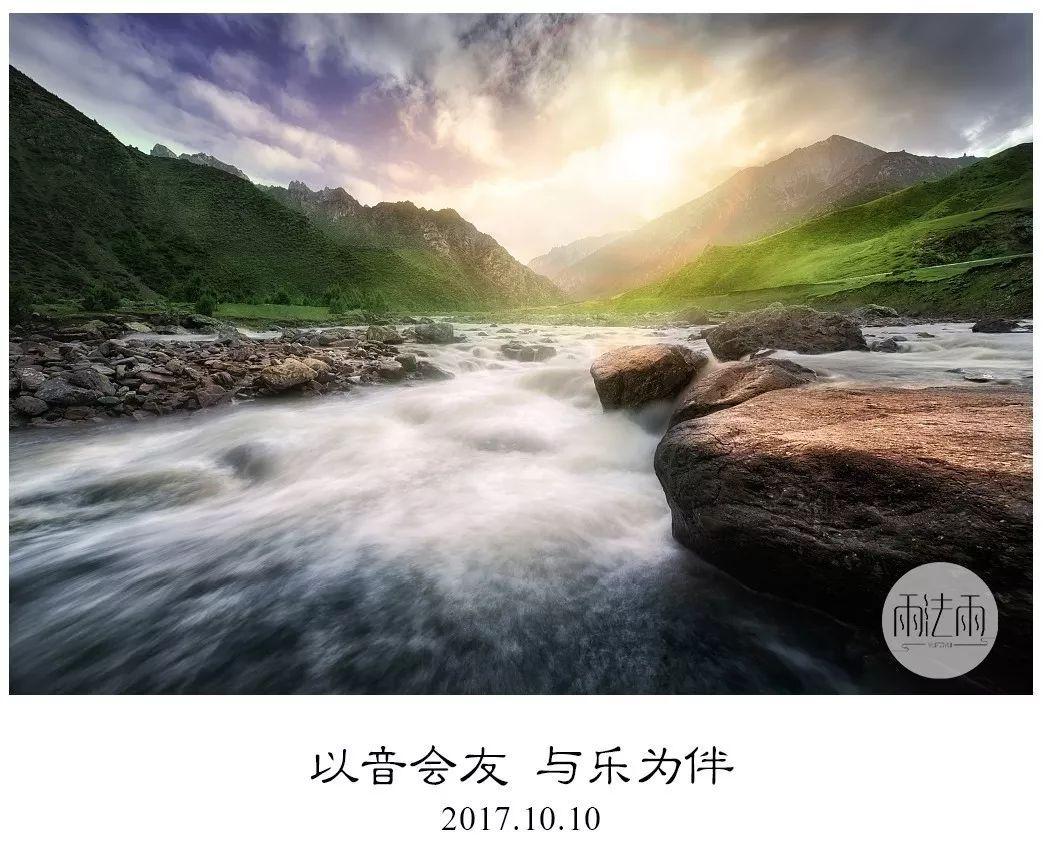植物大战僵尸8